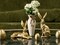 Easter Decorations for Home – 5 Pieces Resin Gold Bunny & Egg Figurines Set, Easter Decor for Tabletop Display & Home Decorations, Vintage Easter Rabbit Statue (Gold)